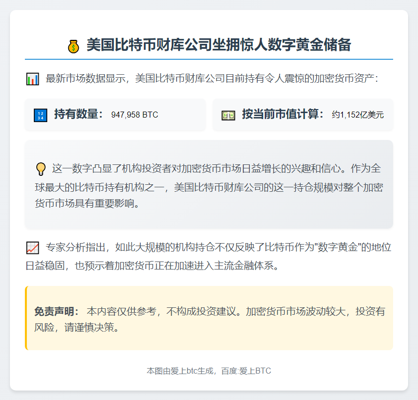 美国比特币公司持有95万枚BTC