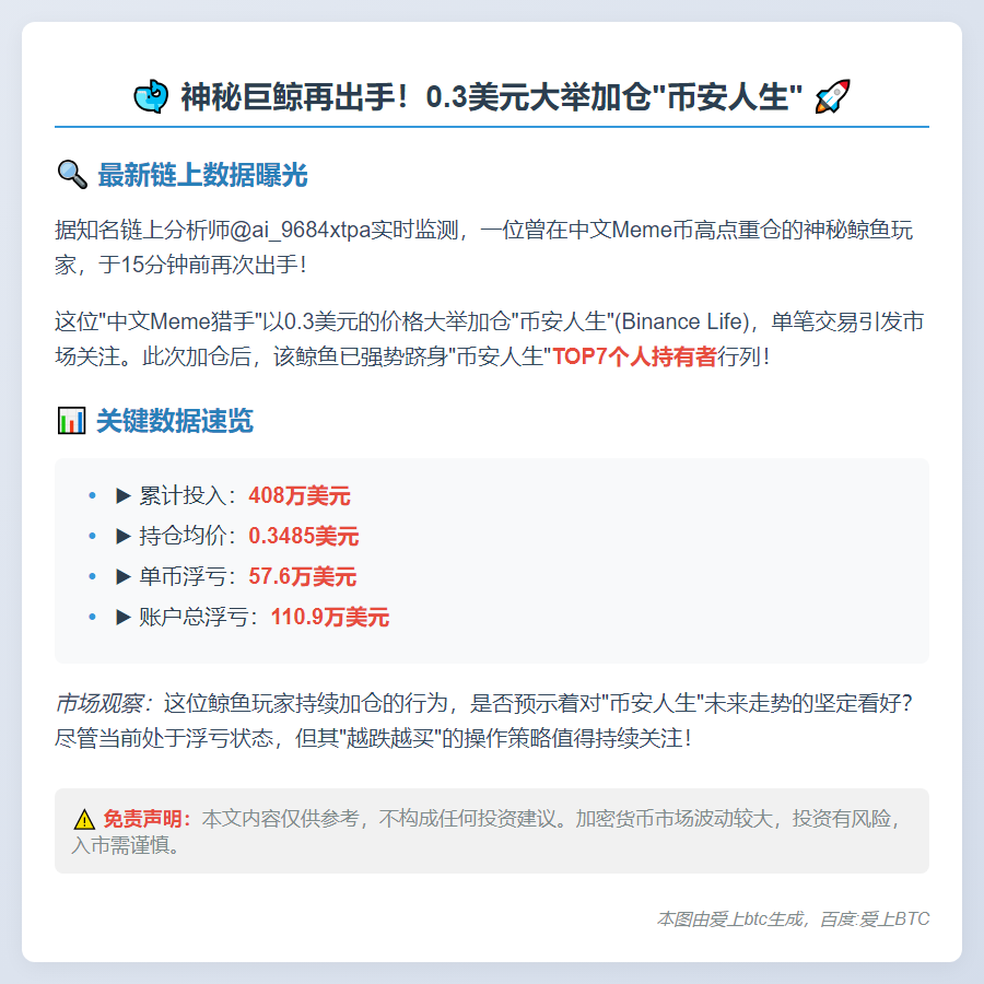 鲸鱼重仓中文Meme币，跻身TOP7持有者