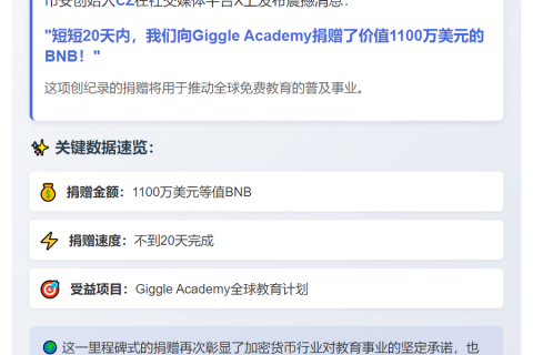 CZ捐赠1100万BNB支持Giggle Academy