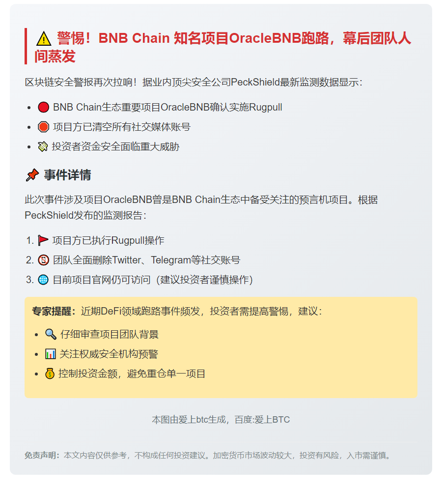 BNB Chain项目OracleBNB跑路删号