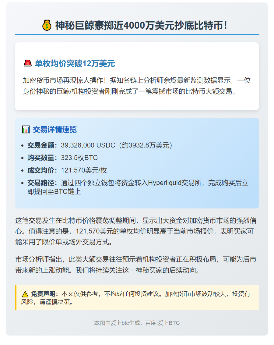 巨鲸斥资3932万美元买入323枚BTC