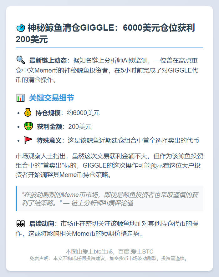 鲸鱼清仓GIGGLE赚200美元