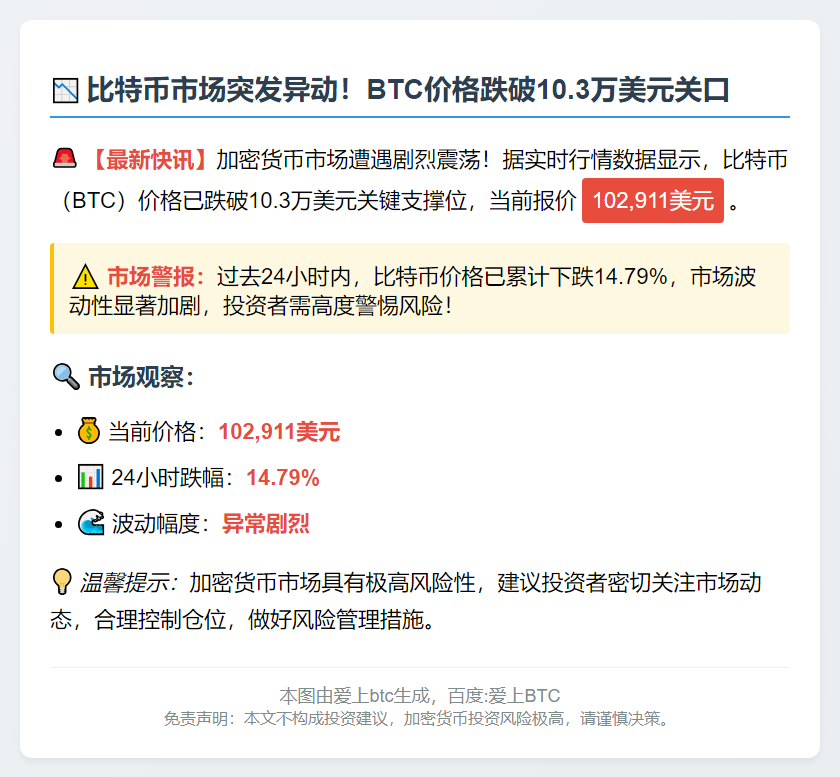 BTC跌破10.3万美元