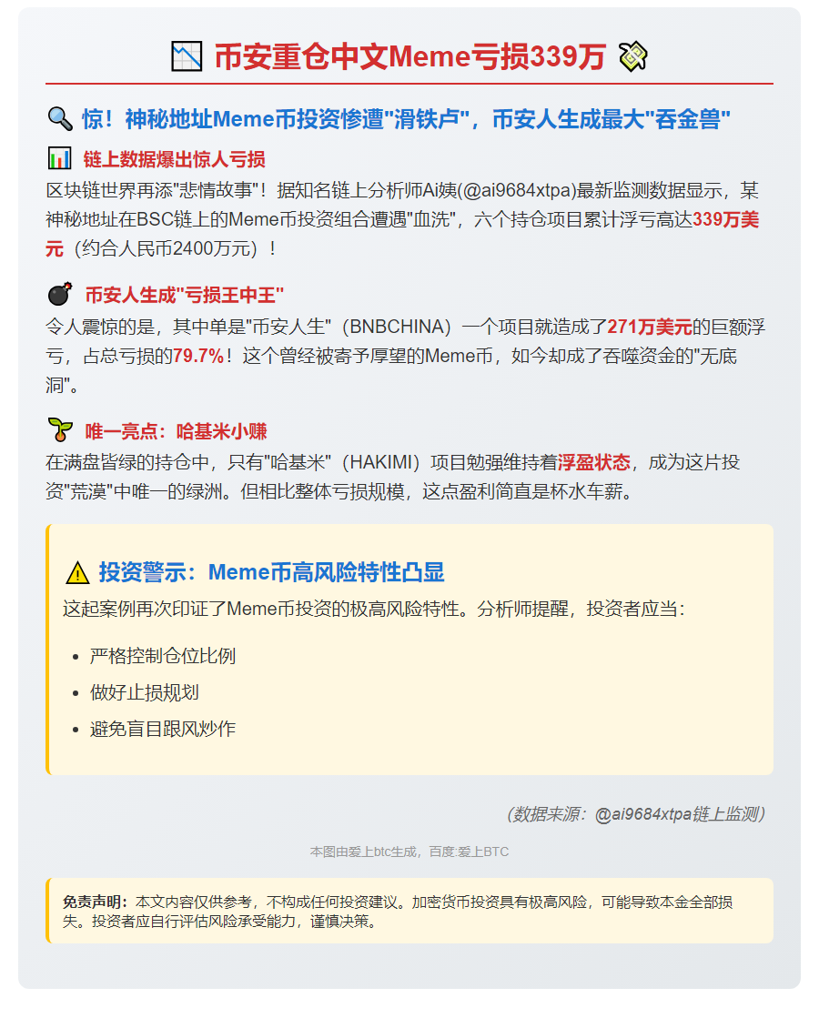 币安重仓中文Meme亏损339万