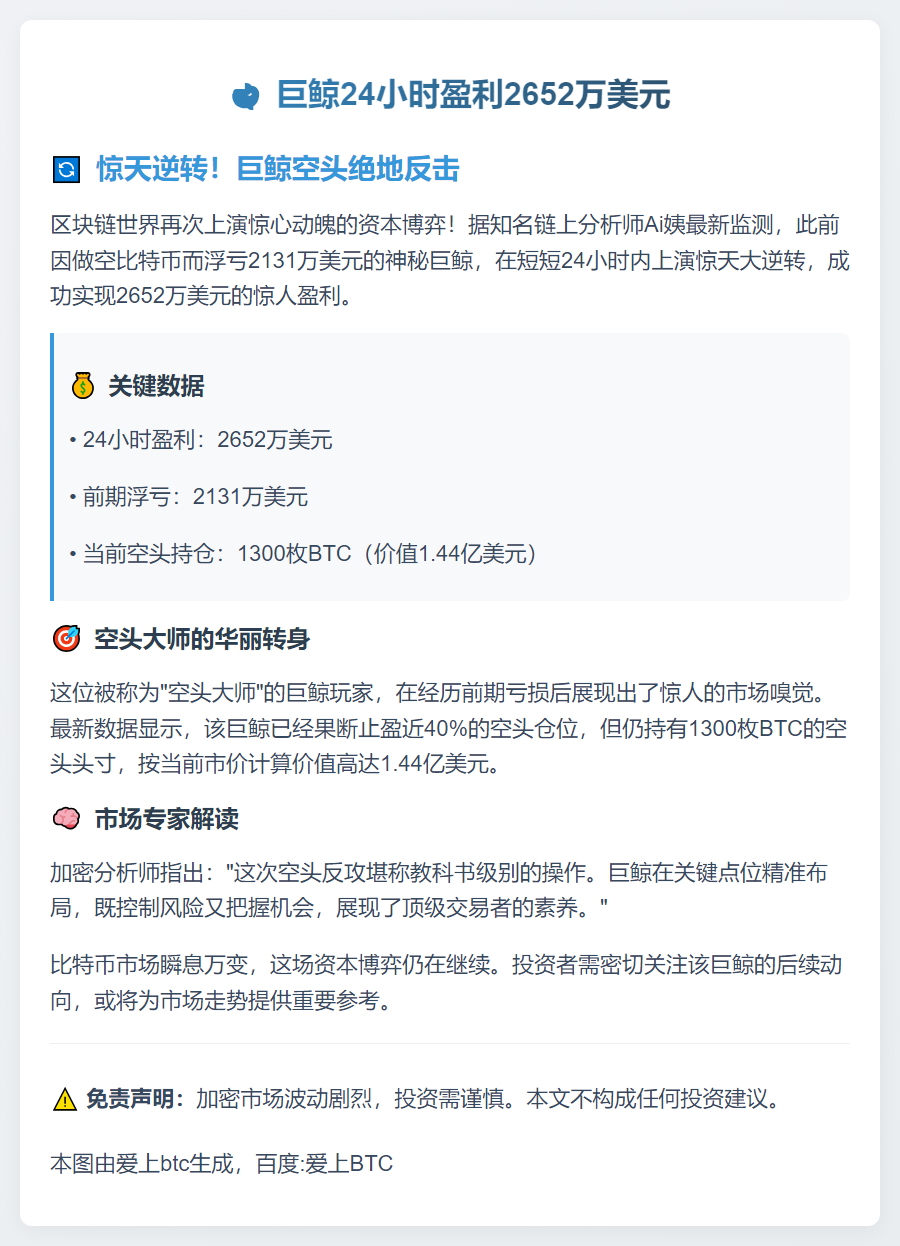 巨鲸24小时盈利2652万美元