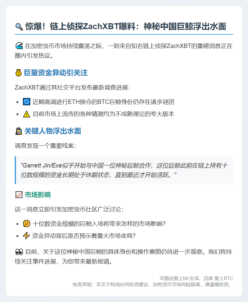 巨鲸与Garrett Jin合作曝光