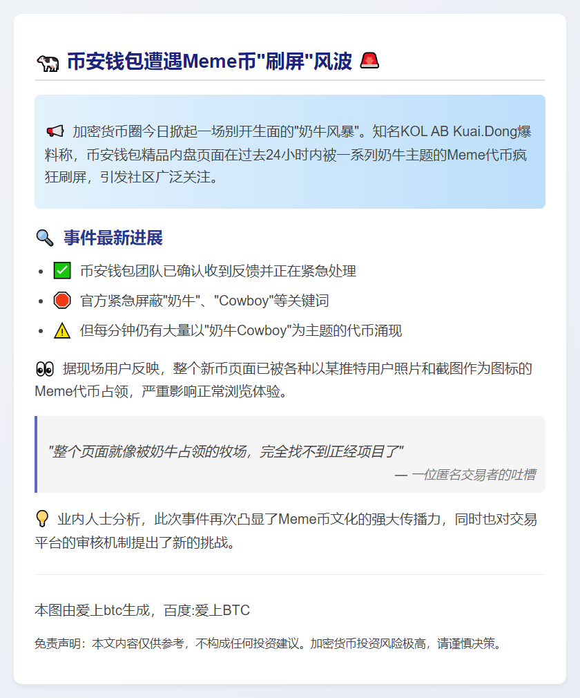 币安钱包处理Meme币刷屏问题