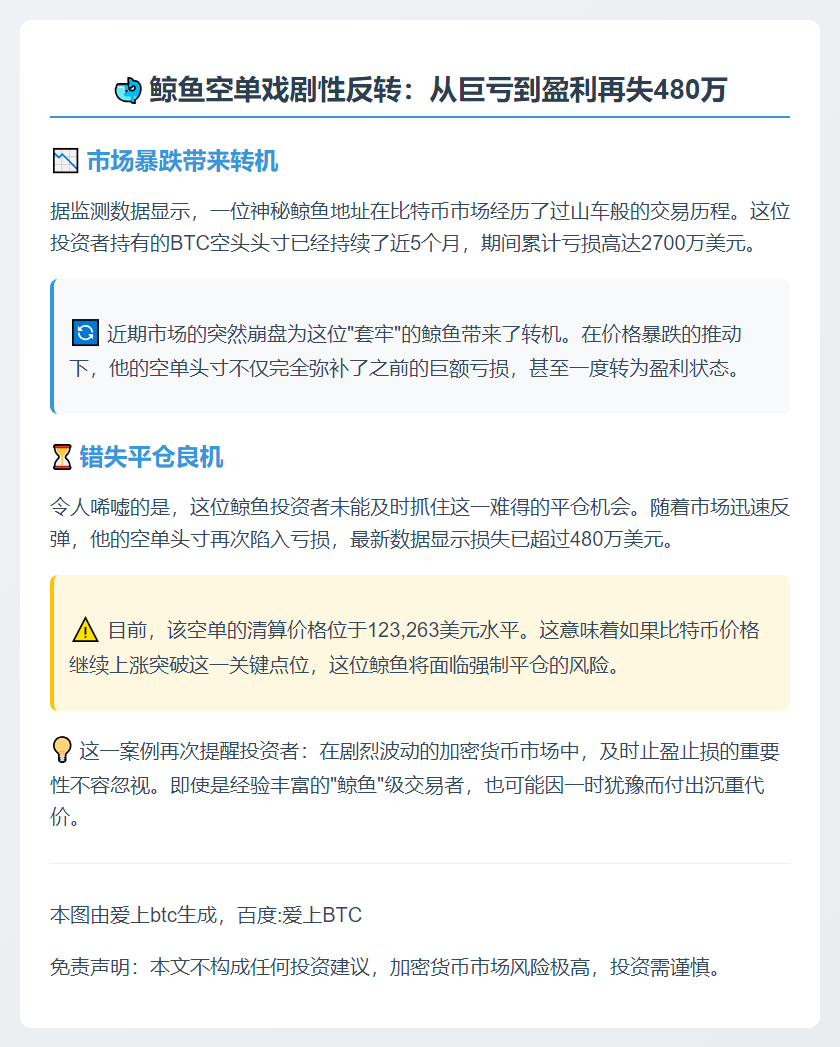 鲸鱼空单5月套牢扭亏，未平仓再亏480万