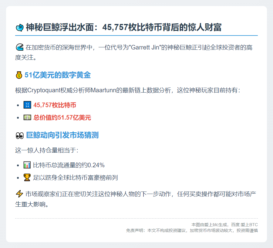 巨鲸持有4.6万枚BTC，价值51亿美元