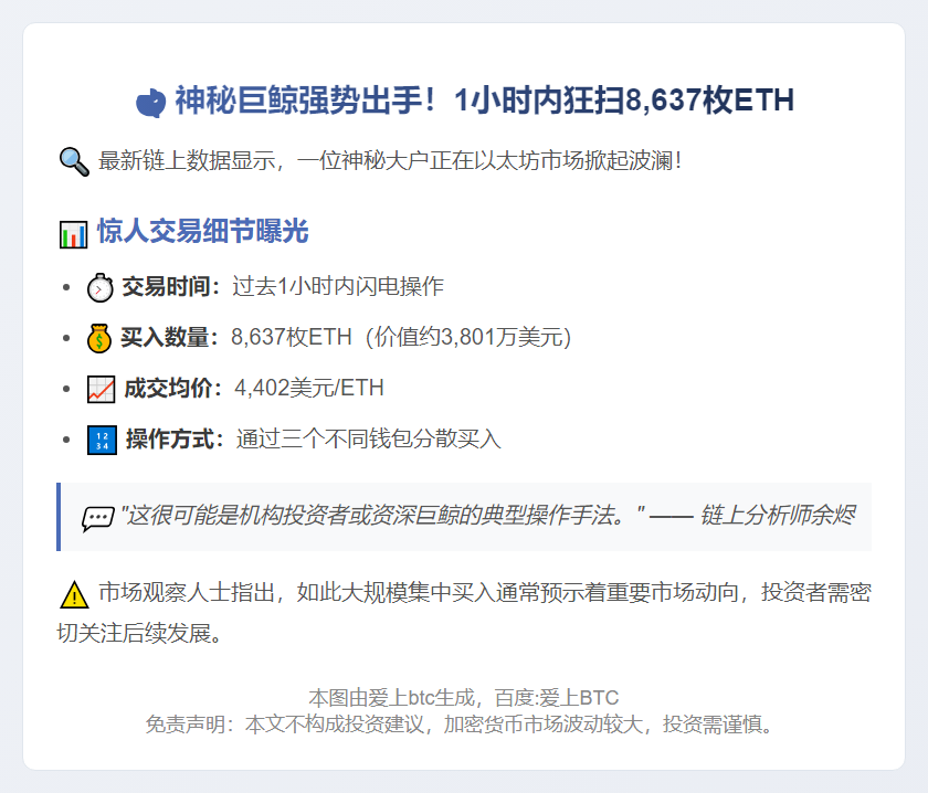 巨鲸1小时买入8637枚ETH
