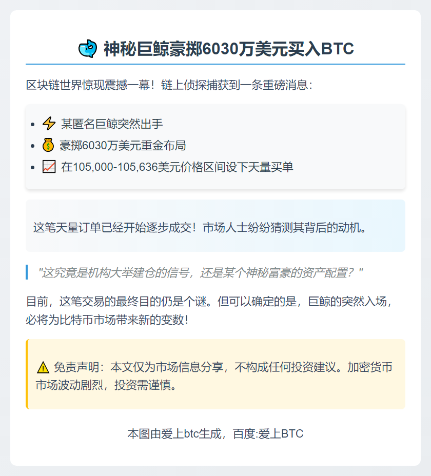 神秘巨鲸豪掷6030万美元买入BTC
