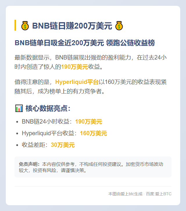 BNB链日赚200万美元