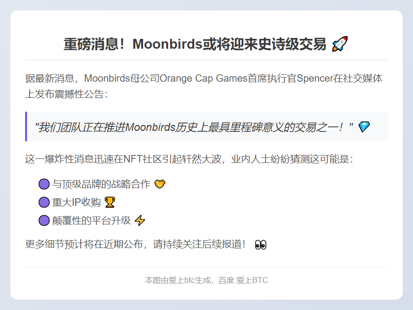 Moonbirds CEO：团队正进行史上最大交易