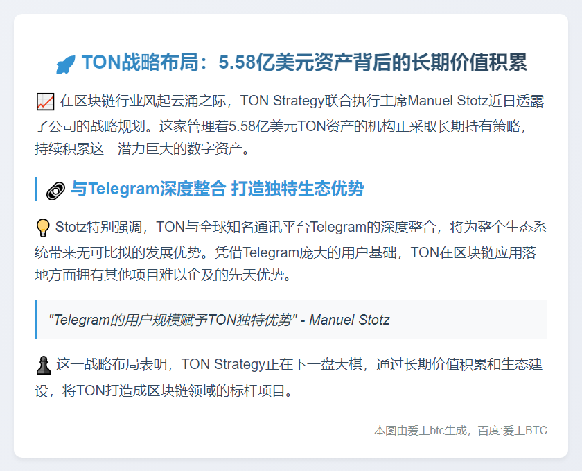 TON高管：长期积累战略