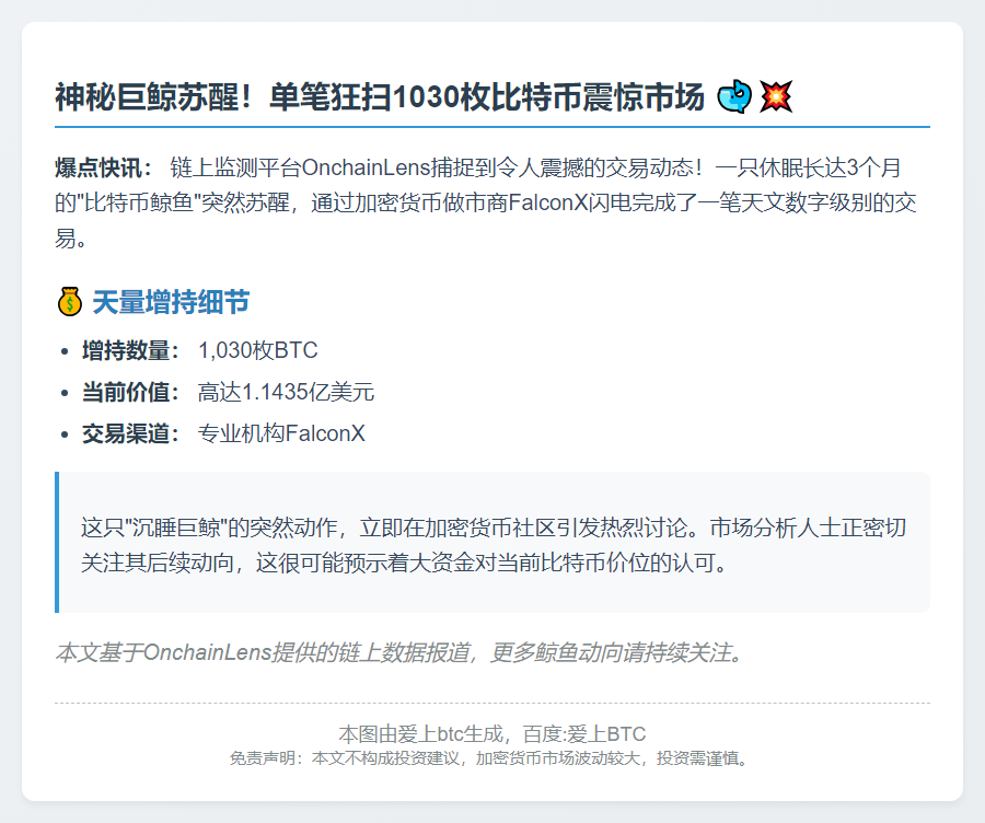 巨鲸苏醒：1030枚BTC增持1.14亿美元