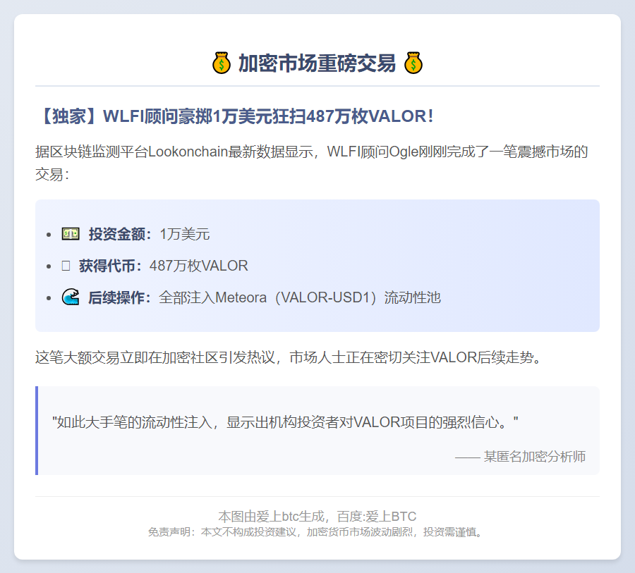 Ogle买入487万枚VALOR仅花1万美元