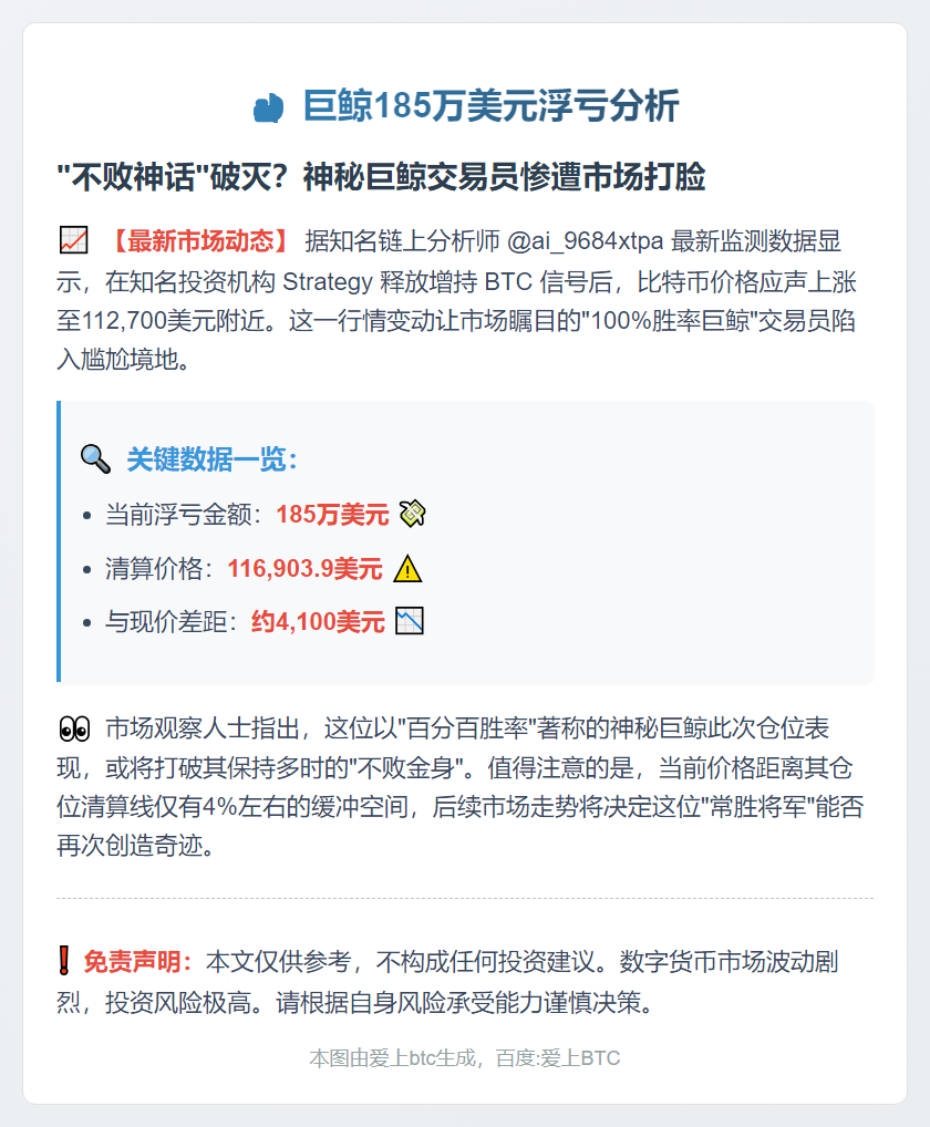 巨鲸185万美元浮亏