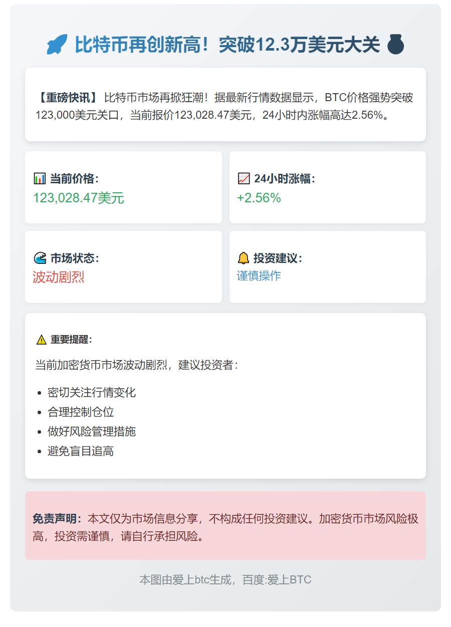 BTC破12.3万美元