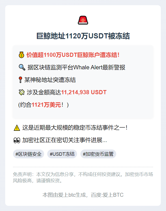 巨鲸地址1120万USDT被冻结