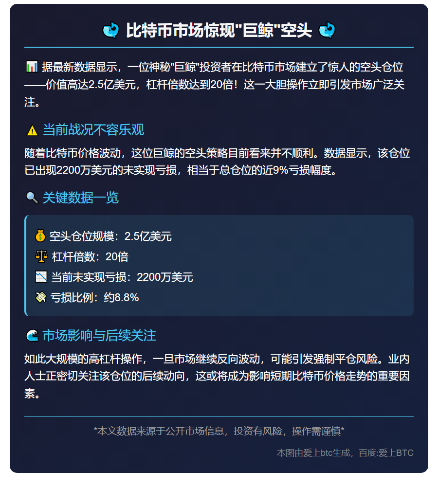 巨鲸2.5亿比特币空头浮亏2200万