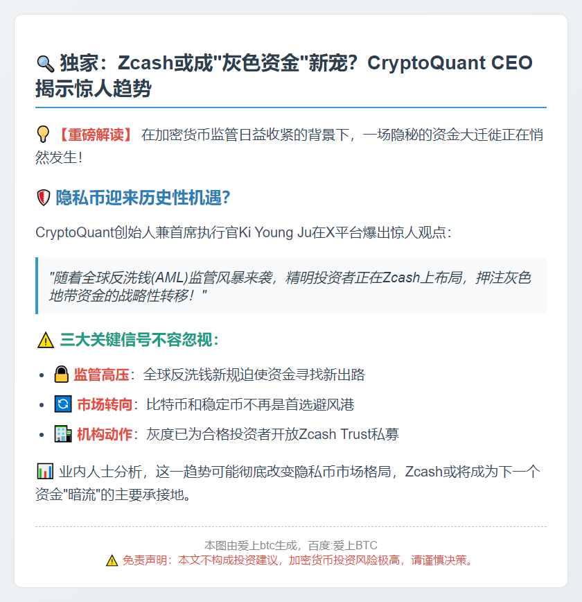 Zcash投资者押注灰色资金转向隐私币