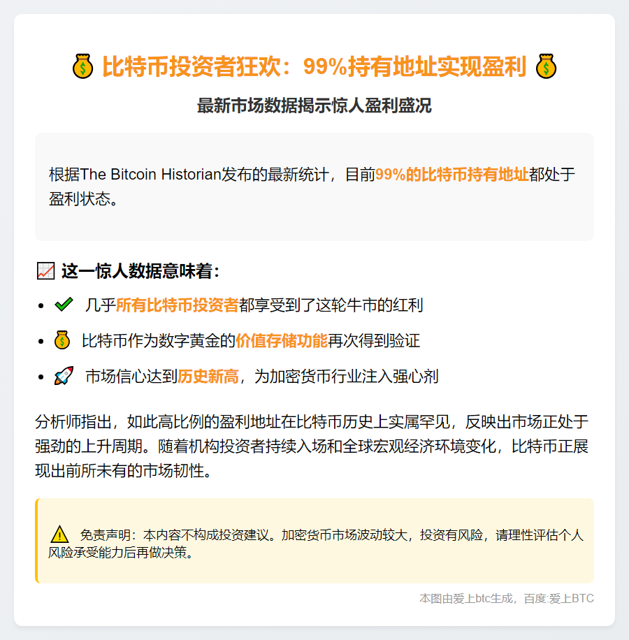 99%比特币地址盈利
