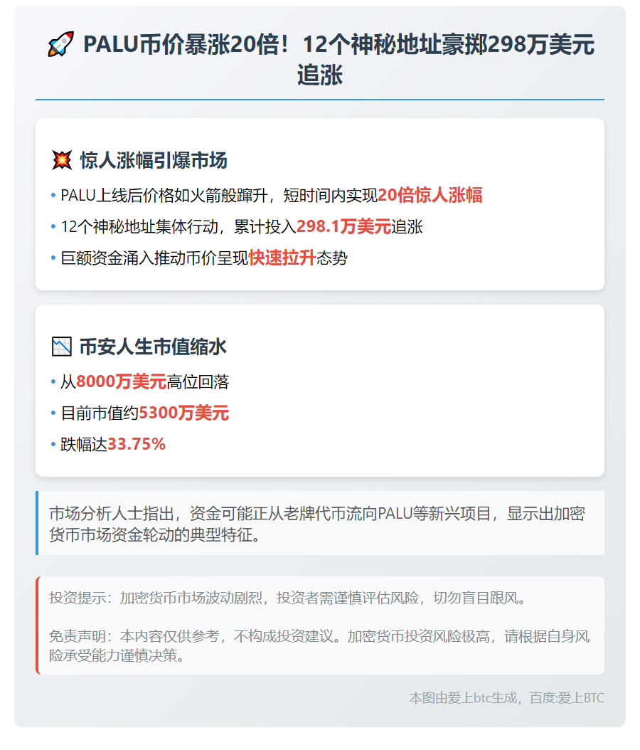 12地址追涨PALU投入298万美元
