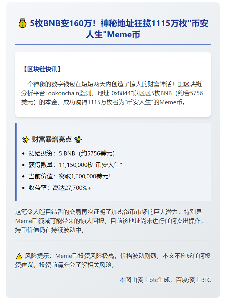5枚BNB买入1115万枚Meme币，现值160万美元