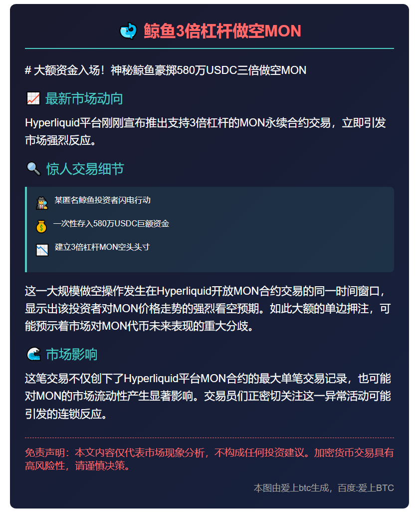 鲸鱼3倍杠杆做空MON