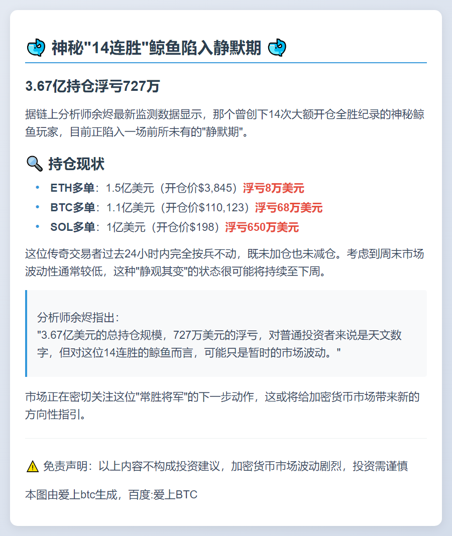 鲸鱼14次全胜后浮亏727万