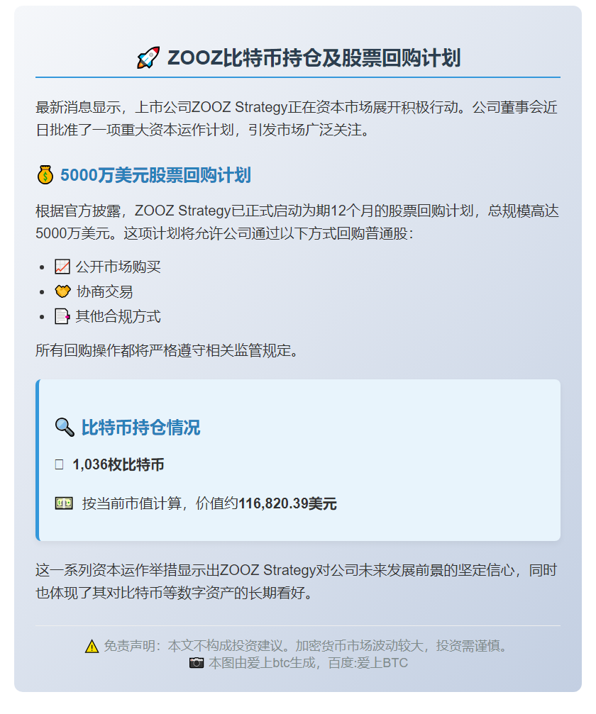 ZOOZ持有1036枚比特币并回购5000万美元股票