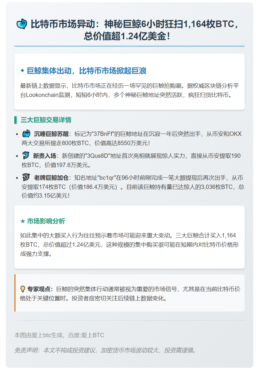 巨鲸狂购1164枚比特币