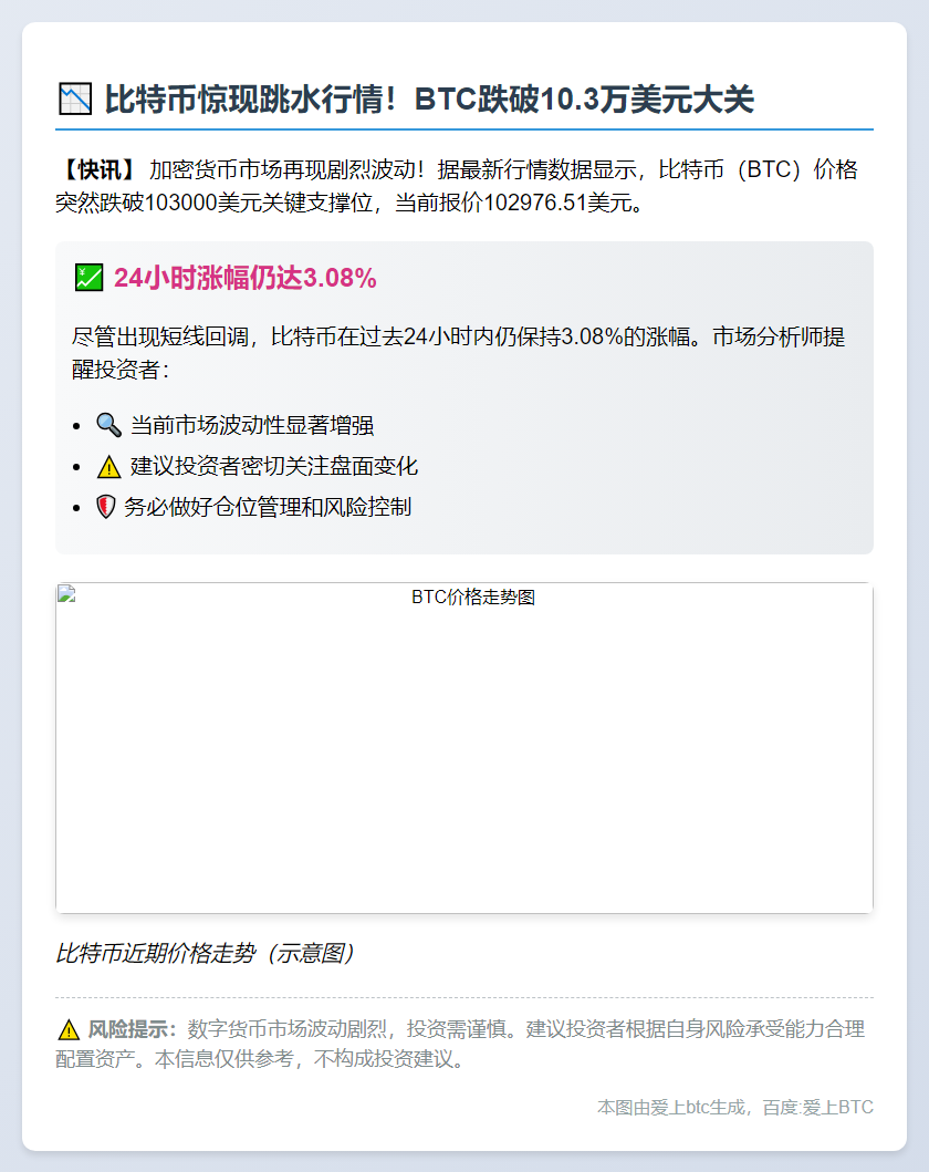 BTC跌破10.3万美元