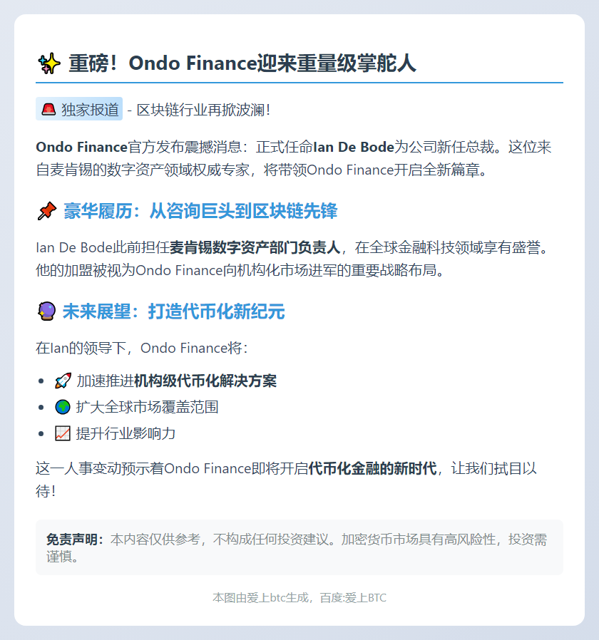 前麦肯锡高管Ian De Bode出任Ondo Finance总裁