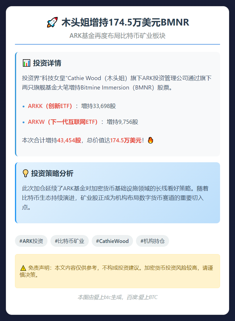 木头姐增持174.5万美元BMNR