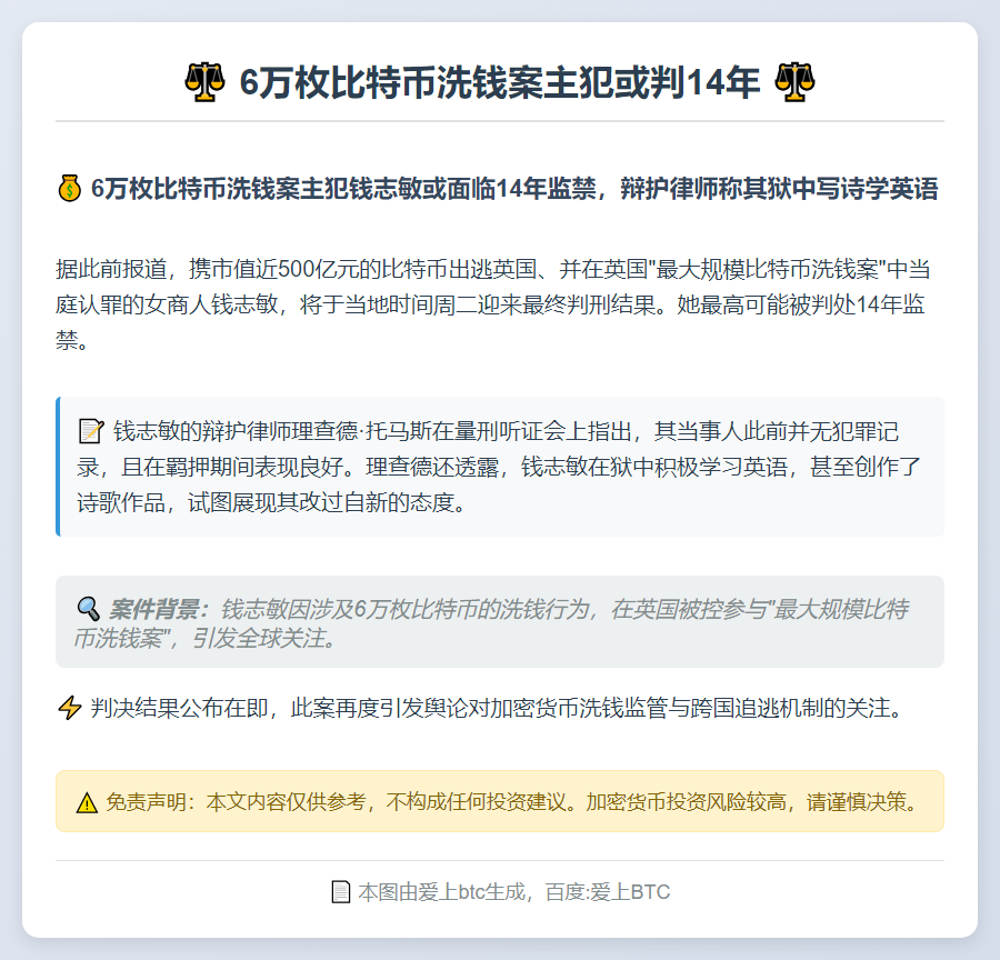 6万枚比特币洗钱案主犯或判14年