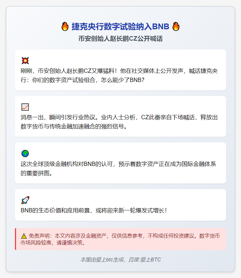 捷克央行数字试验纳入BNB