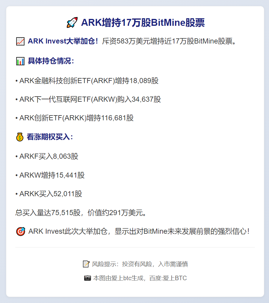 ARK增持17万股BitMine股票