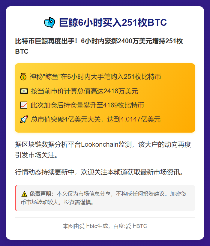 巨鲸6小时买入251枚BTC