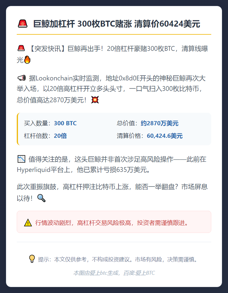 巨鲸加杠杆 300枚BTC赌涨 清算价60424美元