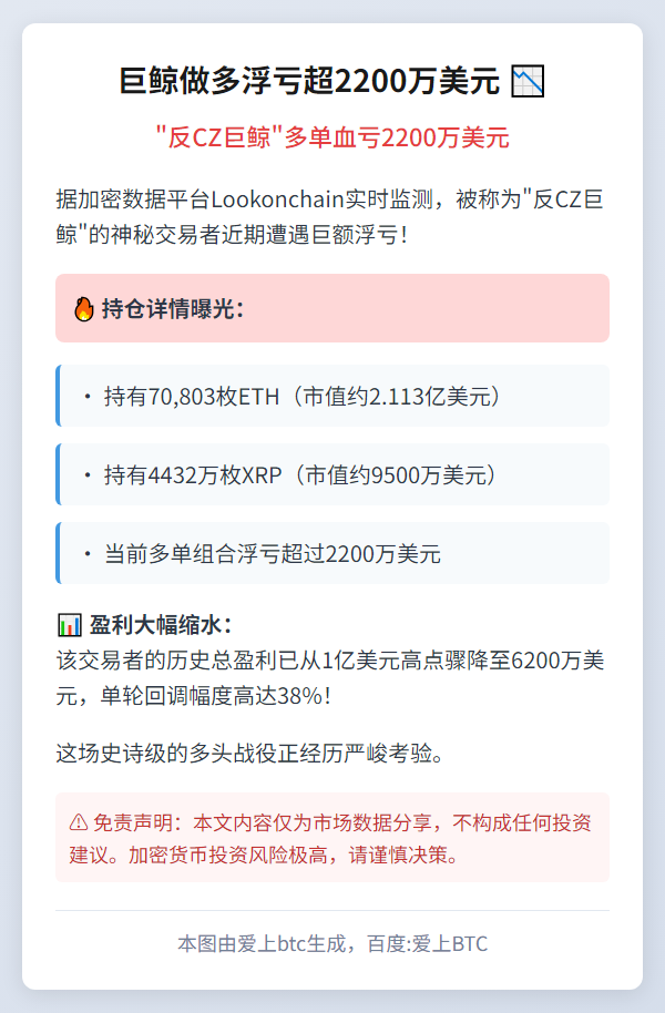 巨鲸做多浮亏超2200万美元