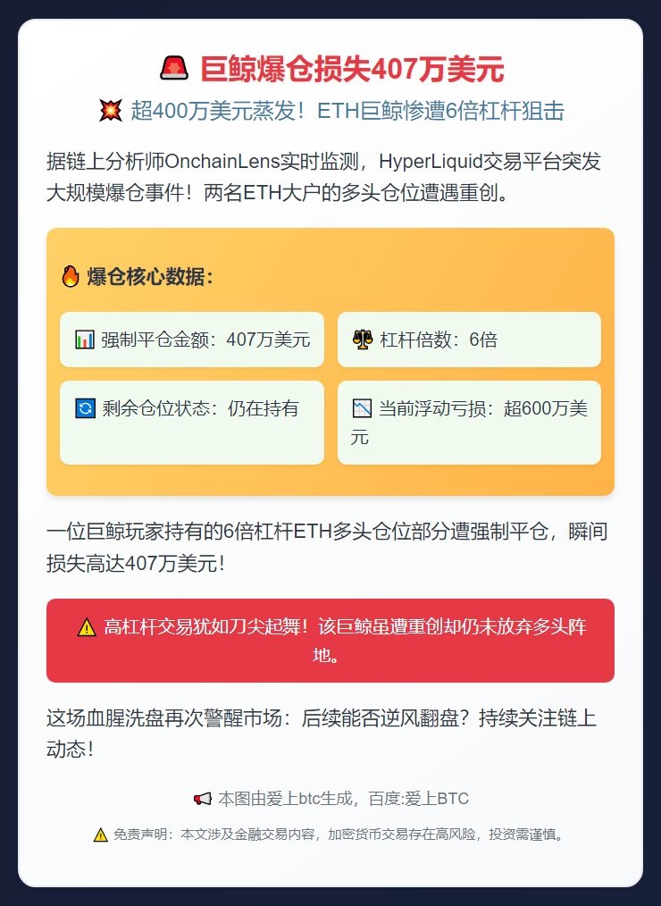 巨鲸爆仓损失407万美元
