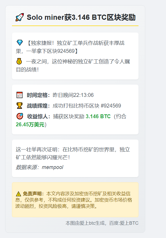 Solo miner获3.146 BTC区块奖励