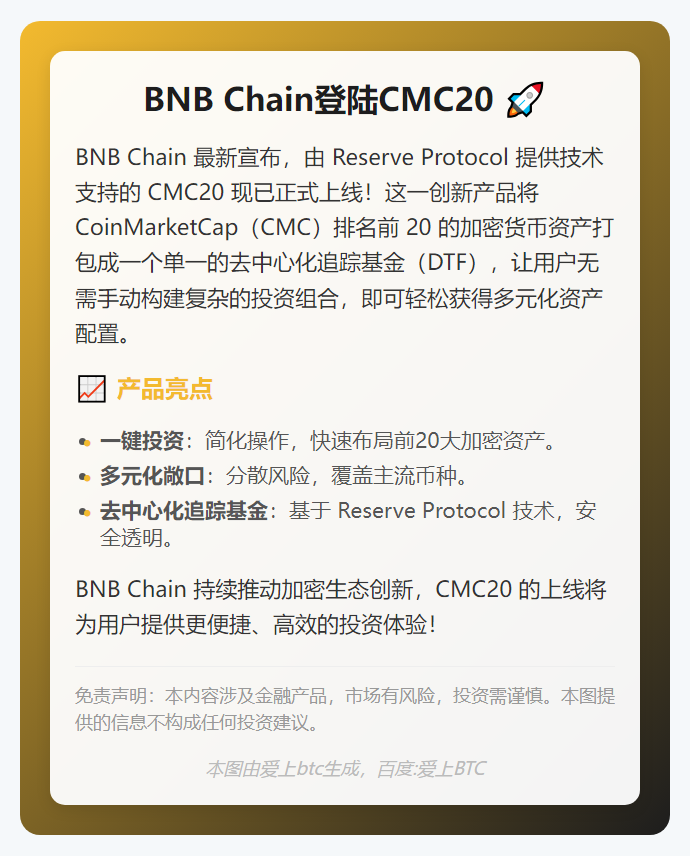 BNB Chain登陆CMC20