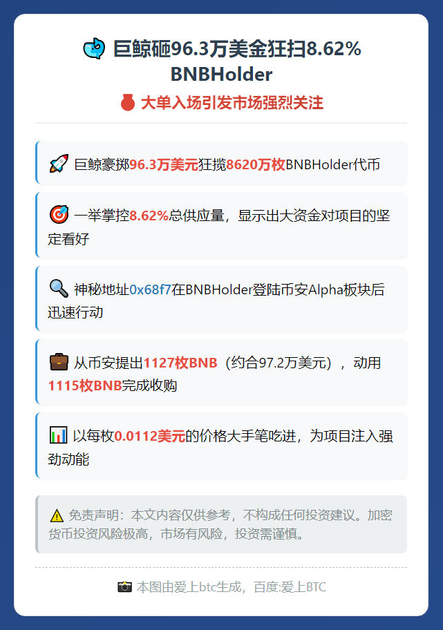 巨鲸砸96.3万美金狂扫8.62% BNBHolder