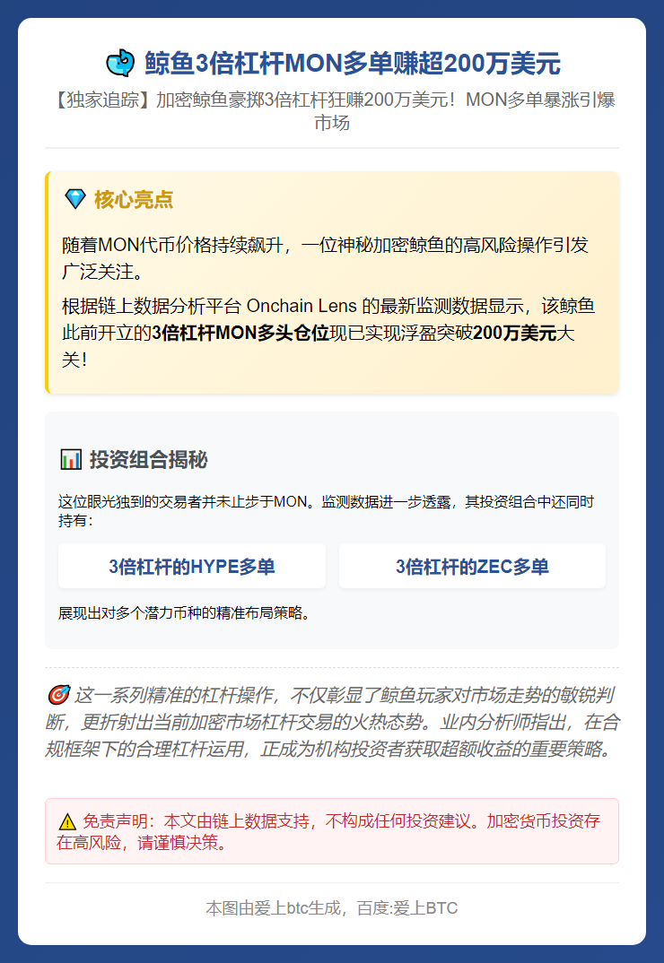 鲸鱼3倍杠杆MON多单赚超200万美元