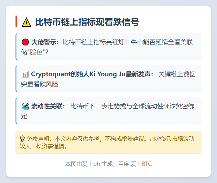比特币链上指标现看跌信号 后续涨势依仗宏观流动性