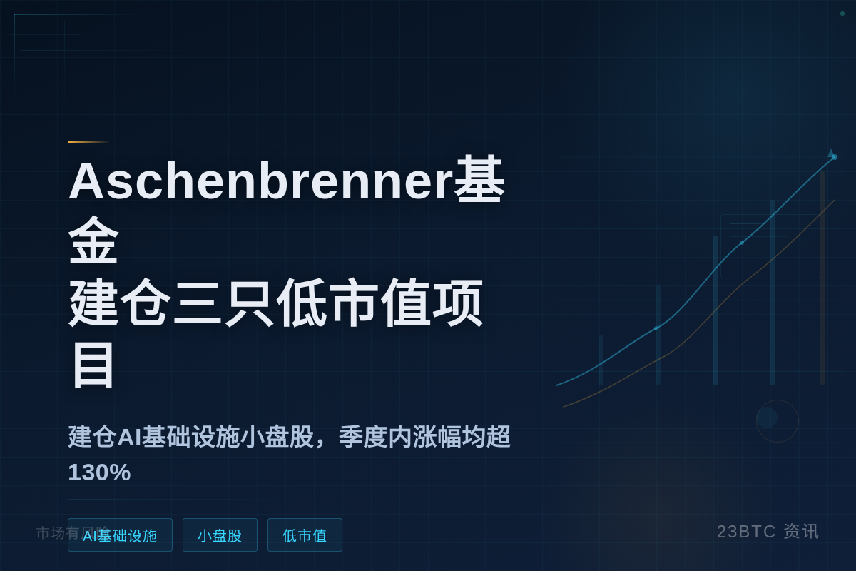 Aschenbrenner基金Q1仅建仓3只低市值项目插图 Aschenbrenner基金Q1仅建仓3只低市值项目